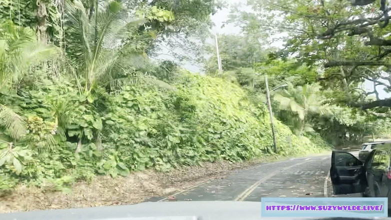 Suzy Wylde: Sfw road trip a Hana per suzy wylde a Waimoku...