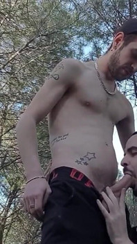 Sex în aer liber în zona de croazieră