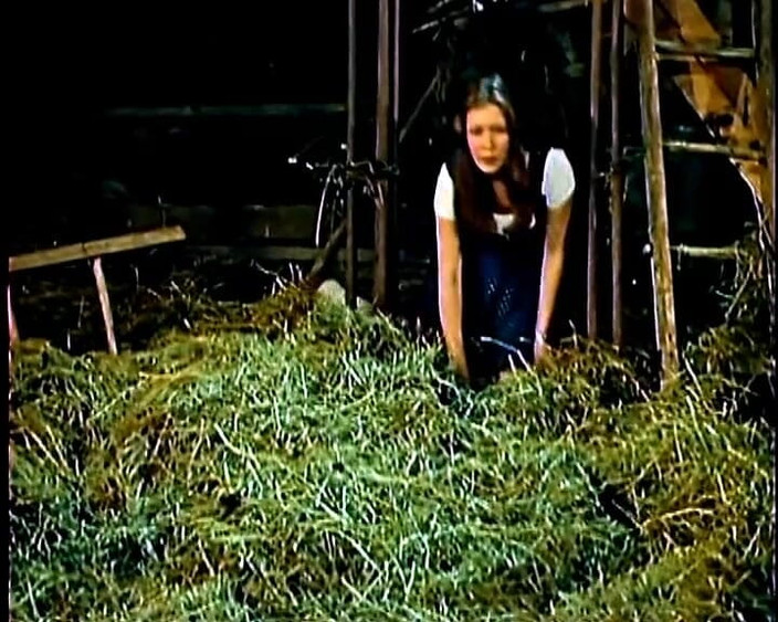 GERMAN PORN CLASSICS: Golden Century of Porn 5