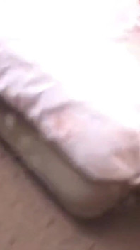 Asian angel 25812