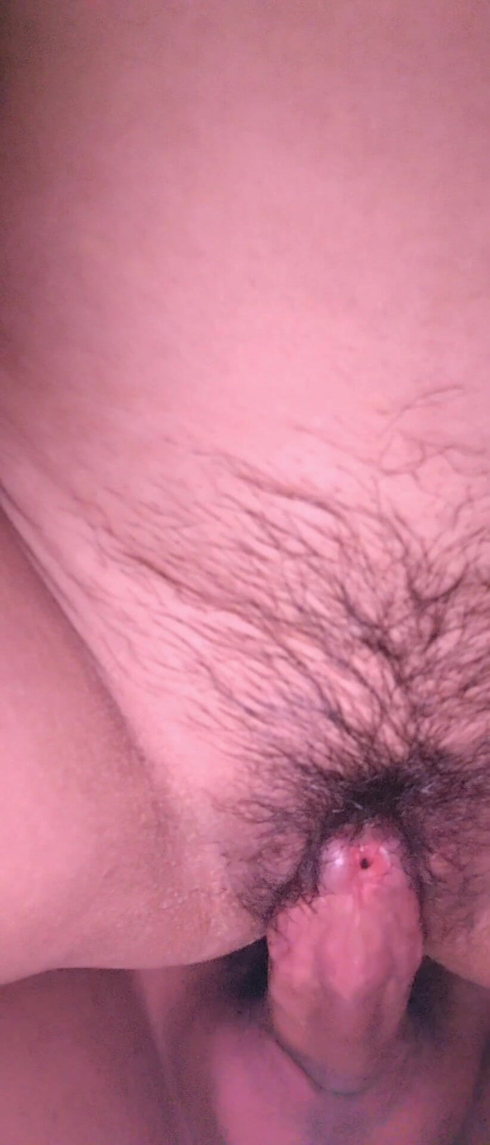 Msiris09: 『若い継母はディックを愛する』のムシリス