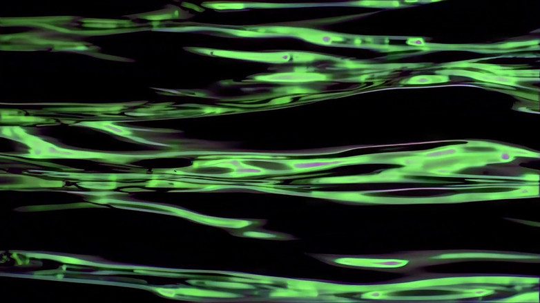 MMV Films and Clips XXX: Zwei Geile Frauen Wollen, Dass Große Schwänze Ficken Und Kommen.