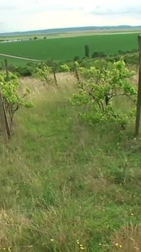 Il fume son long pénis !