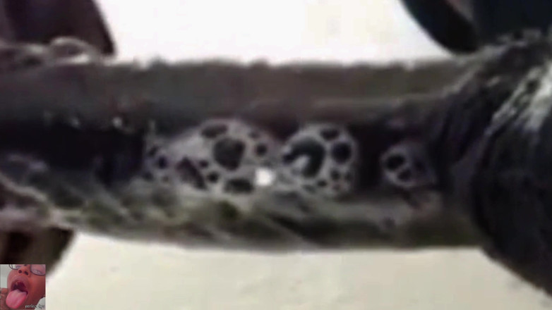 Wildwood21519: Nejlepší kouření CIM vůbec