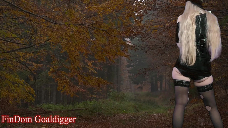 FinDom Goaldigger: Estrada perigosa