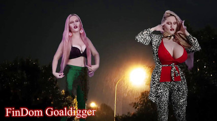 FinDom Goaldigger: Hibrid cu transformare a aripilor