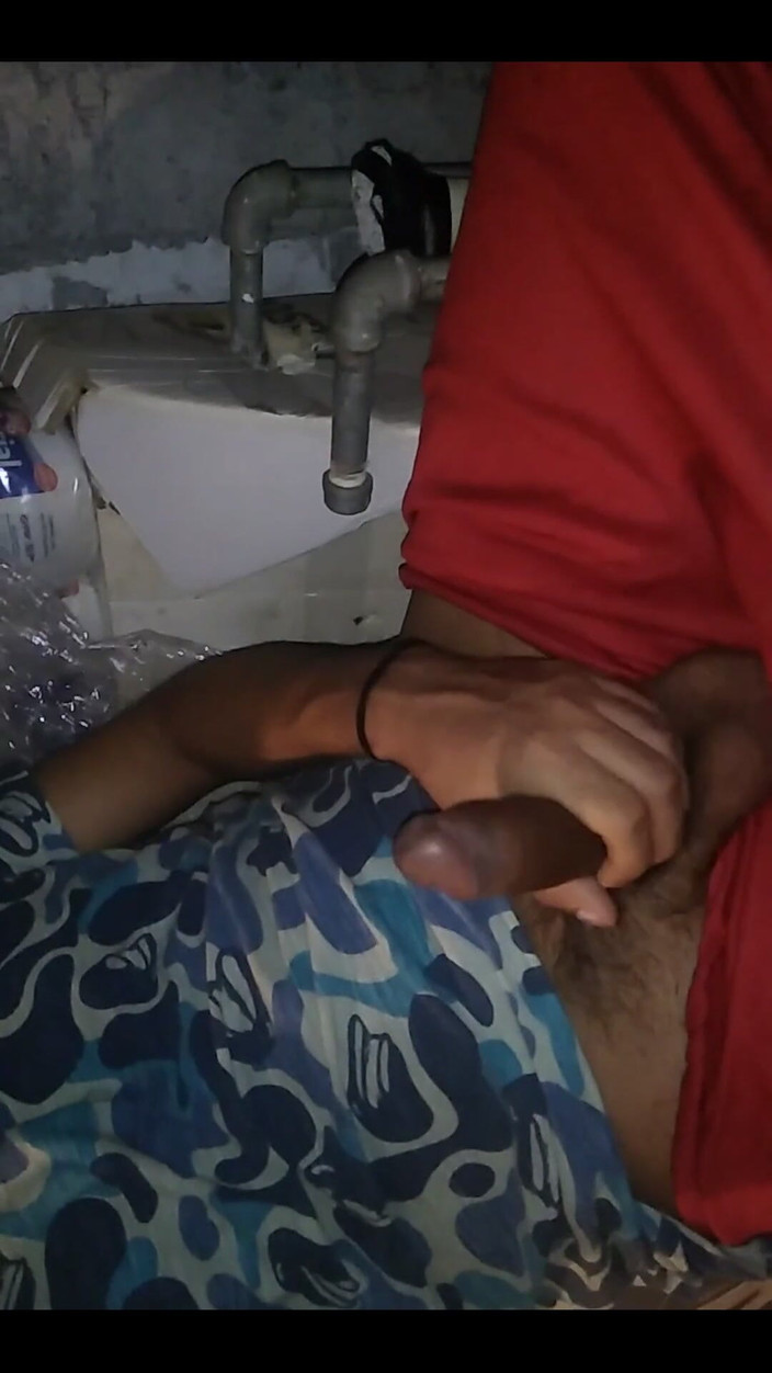AlexAlejandro13: Sehari menarik angsa