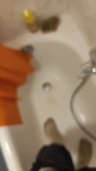 Dirty Pig Hammer on It, Pissing and Socks Toilet