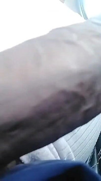 Sexy Cock