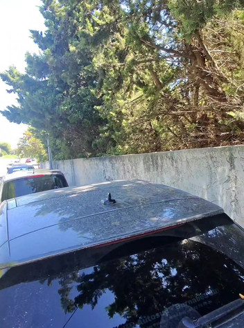 Sofy13: Pameran Khas Saya bermain dengan kelentit saya di tengah-tengah jalan...