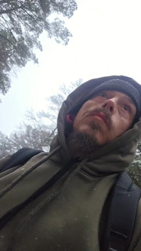 Cruising in the Snowy Woods