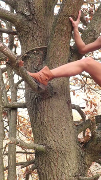 Piss in Tree