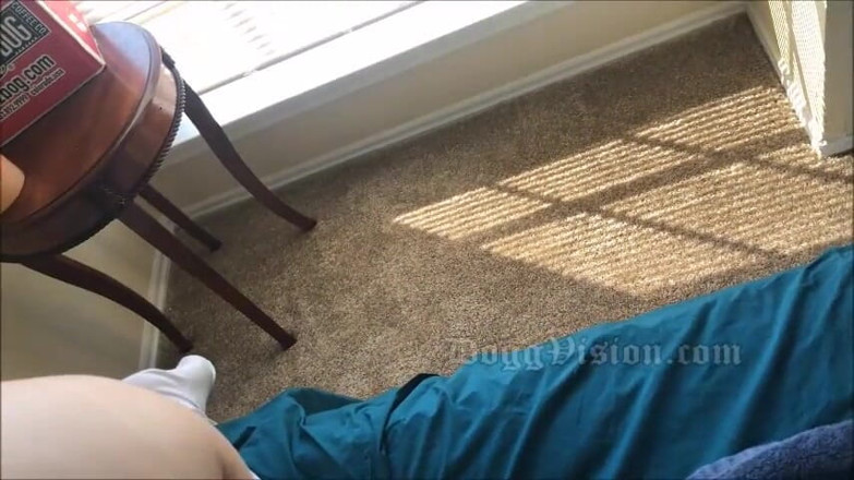 DoggVision: POV dünn, schlampig lutscht und fickt