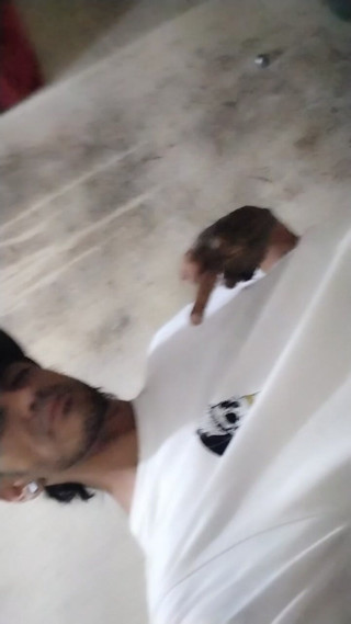 Jeez Ra Sama: I Show to You My Big Dick