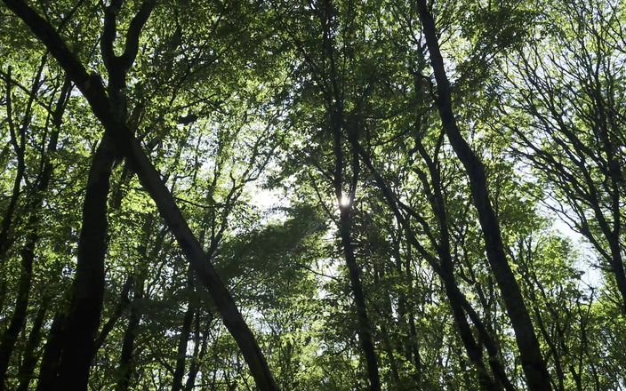 Mesmeriza: Mesmeriza Waldspaziergang