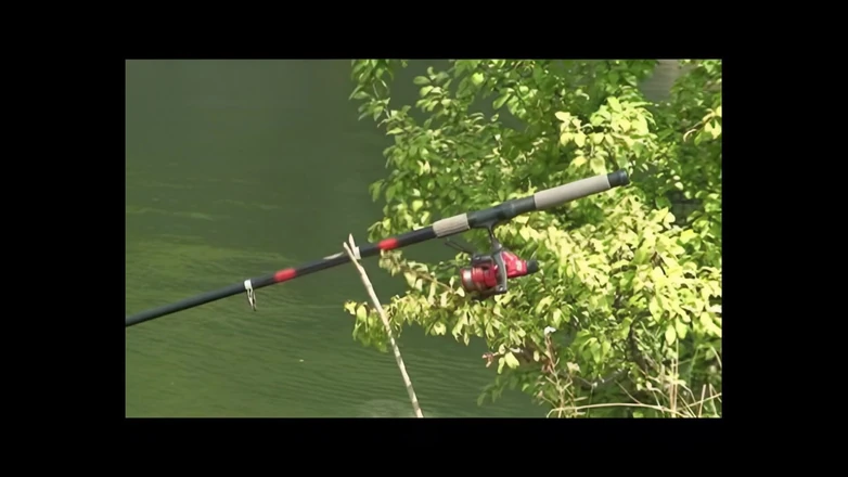 My Dirty Family: Terlalu tua tetapi mereka menyukainya