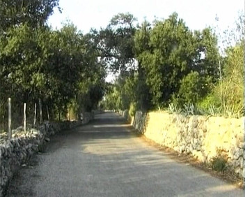 Hardcore German Club: Duitse stiefzus werd stout in een buitensessie met stiefbroer