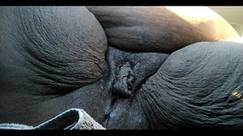 I Was Horny as Hell This Morning