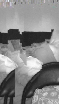 Los 2 En Webcam 4.