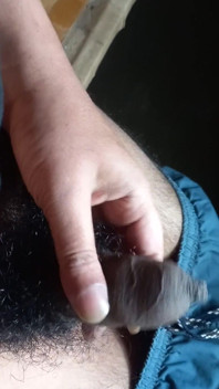 Kåta indiska tonårspojkens phimosis kuk blir liten till hård tills sperma
