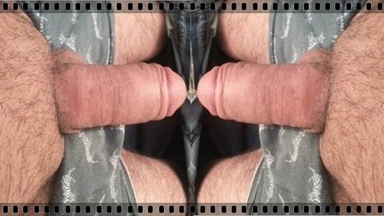 turk turkish: Beruang Turki matang