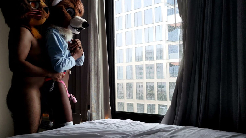 PawgrammerSocks: Bareback Femboy Furry Fursuit Fuck in Front of Window