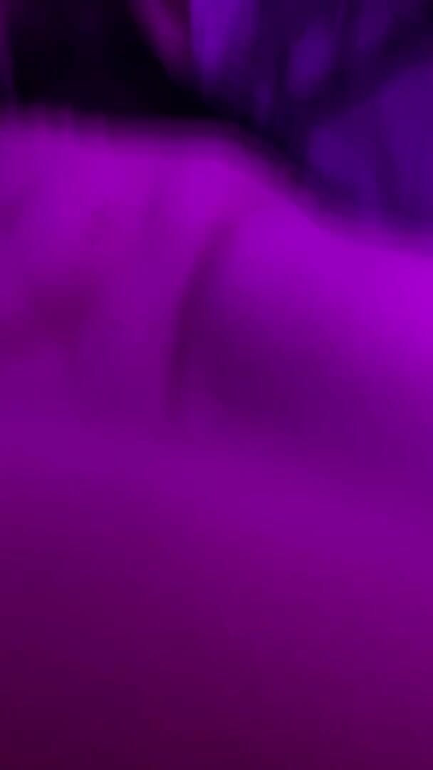 Fickna: Pov - dildo