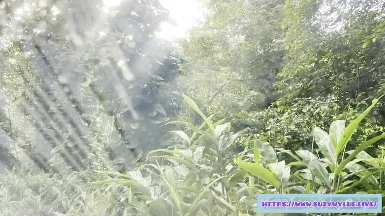 Suzy Wylde: SFW road trip à Hana pour Suzy Wylde à Waimoku Falls, Maui