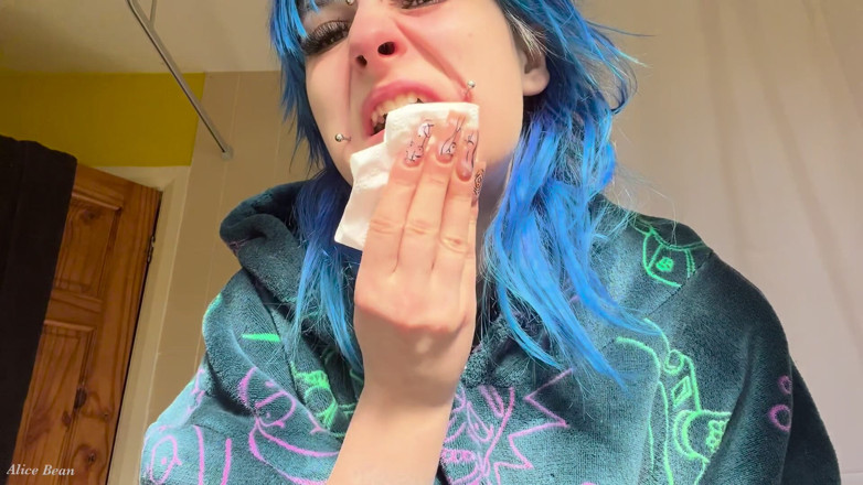 Alice Bean: Hayfever Honks