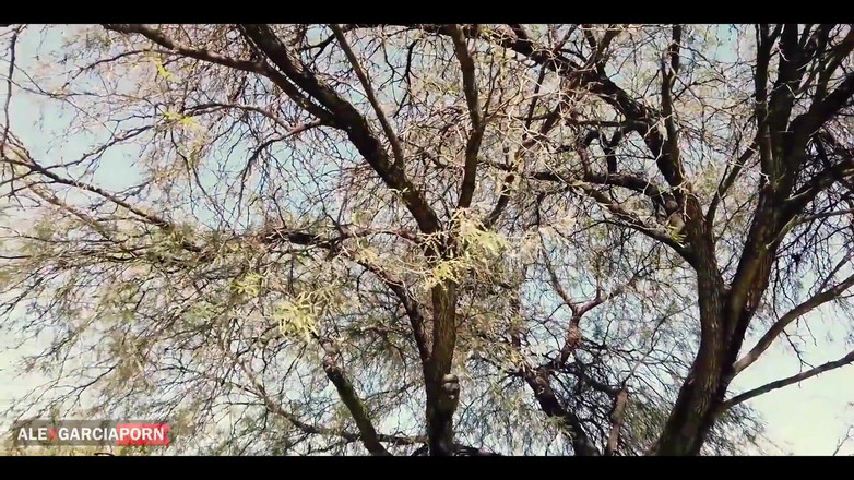 Alex Garcia Porn: Agbg चीख - milf(चोदने लायक मम्मी) की रहस्यमयी आदमी द्वारा आश्चर्य से चुदाई - चीखना पोर्न पैरोडी