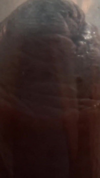 Extreem Pompen Van De Penis