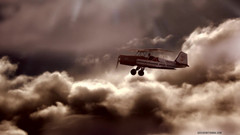 Lollipop Twinks: 普雷斯顿·埃廷格的采访