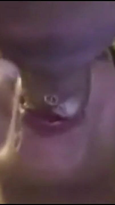 Big Fat Cream (Master of porn) Big Fat Cream (Master of porn)