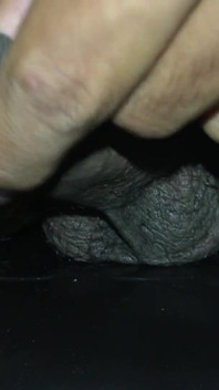 Pene piccolo e tenero