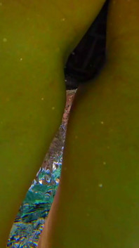 Perfect Ass of My Wife Swimming