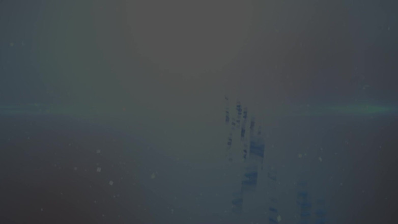 Anilos: Déroulement