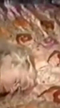 BBC Addiction - 100% Amateur und selbstgedrehte porno-videos. MILFs süchtig nach BBC und interracial knallen.