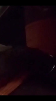 Rasta Cocky Part 2