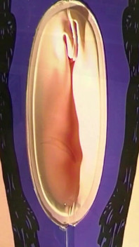 大量の精子を使ったダッチワイフファックオナニー