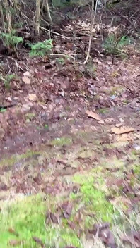 Pussy Pissing Water on the Rock
