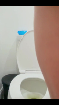 Peeing Backwards in the Toilet Today