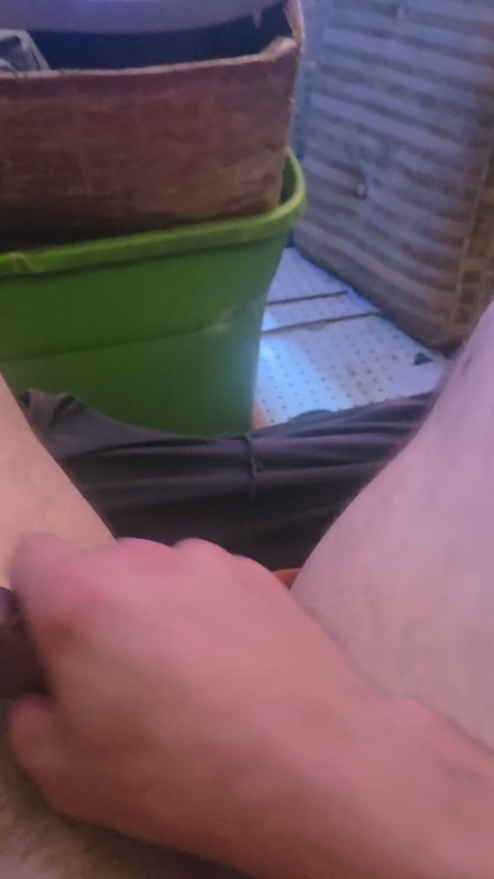 Big dick davis: Sunată și gata