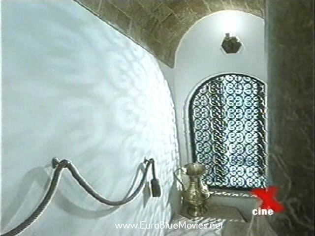 Euro Blue Movies: Voglia Di Maschi Caldi (1994)