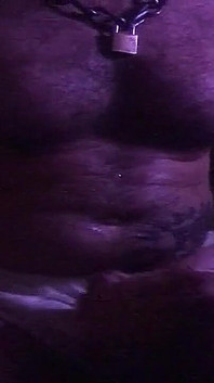 Maiale fusto peloso - piscio