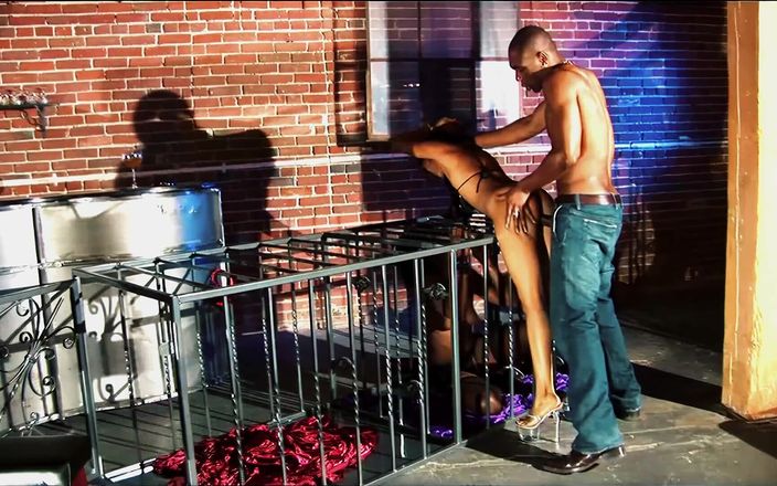 FapFlare: Keadilan mengambil kontol hitam besar di pantatnya selama threesome kandang...