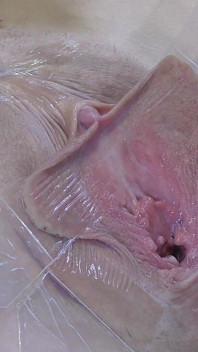 3 Menjilati Vagina Menyebar Jauh Dari Sangat Dekat