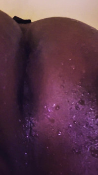 Ms300 Sarazia Esotica Perdita 4