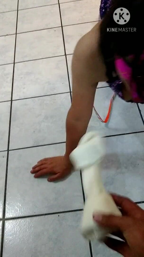 Traviezisha: Sissy Pet Training (playing Fetch with Sissy Bitch)