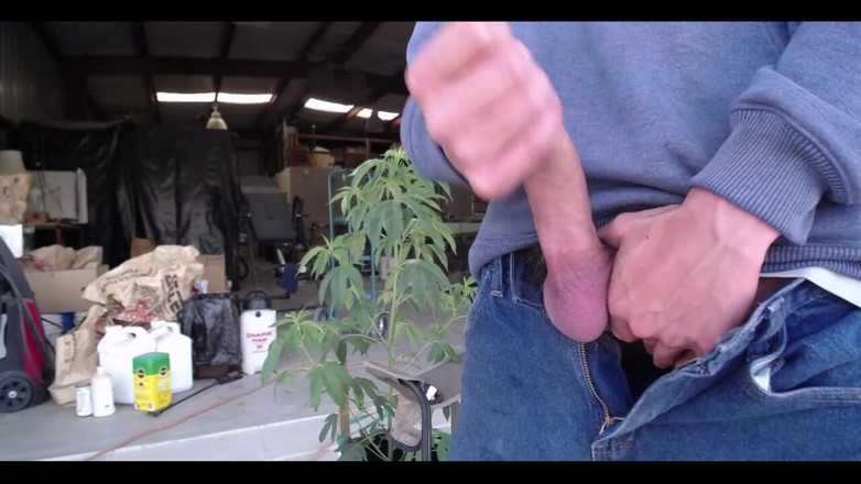 Joe Iandola: Chaturbate Show
