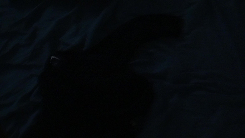 Stepmom Susan: My Horny Stepson Woke Me up and Begged Me to...